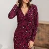 Pour Moi Bryony Slinky Stretch Jersey Wrap Mini Dress - Berry Leopard -PMoi Clothing Shop 308230 20230124125500
